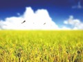 深改组:《建立以绿色生态为导向的农业补贴制度改革方案》