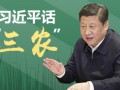 习近平：推进农业供给侧结构性改革 做好“三农”工作