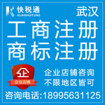 其他商务服务、咨询服务、进出口代理、知识产权服务、公司注册服务、会计服务