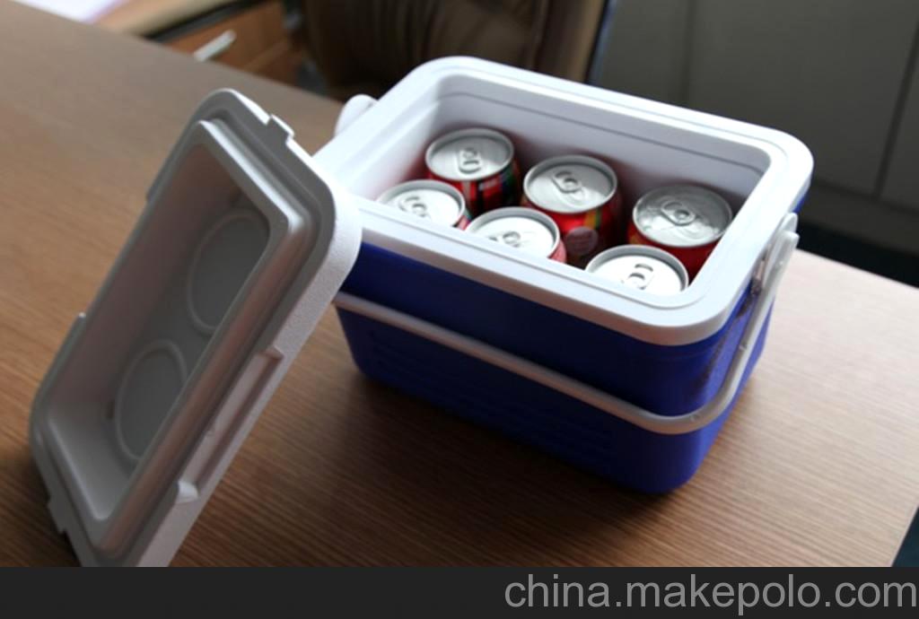厂家直供 6L迷你冷藏箱 保温箱 食品保鲜 优质制冷设备
