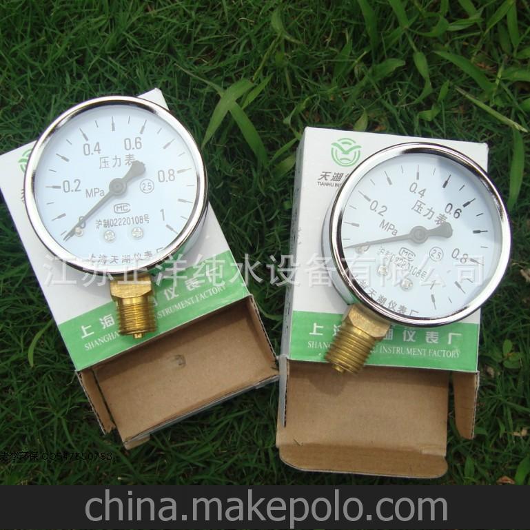 正洋环保 污水处理配件 仪器仪表 普通压力表0-1MPA