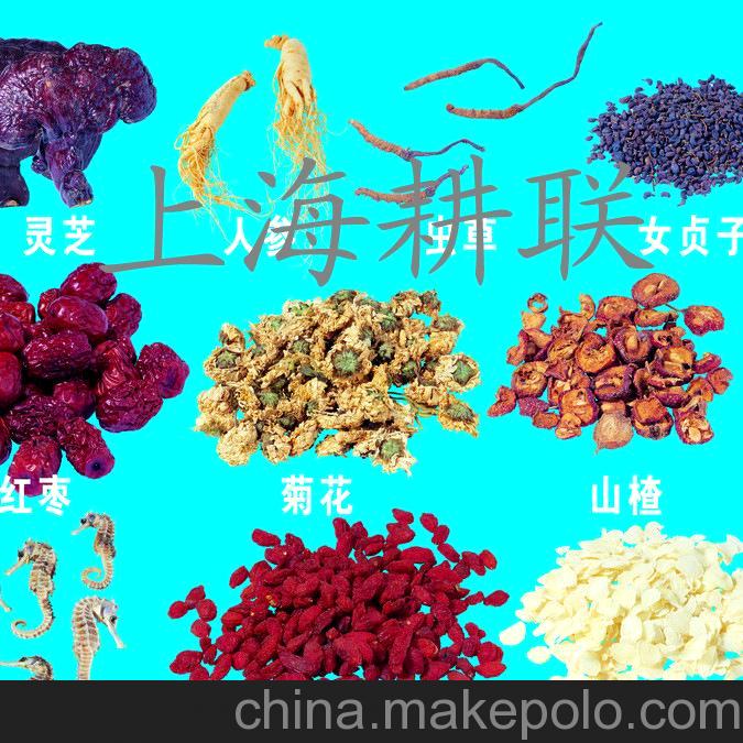 厂家直销 GLFS-100g cd机随身听
