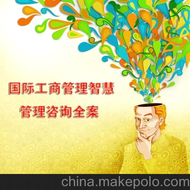 国内外管理咨询最新全案 最后一天优惠