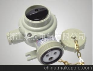 厂家推荐 10A船用尼龙开关带插座（泰航 电气）欢迎咨询