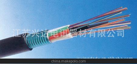 通过国家认证，ISO认证，广电认证的光缆 ，GYTS型层绞式光缆