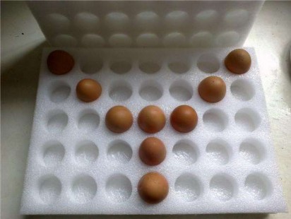 珍珠棉蛋托