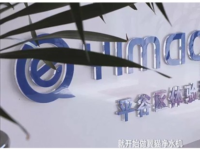 案例展示