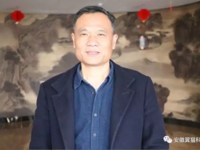 案例展示