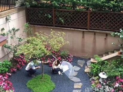 私家自然风