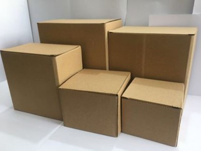 案例展示