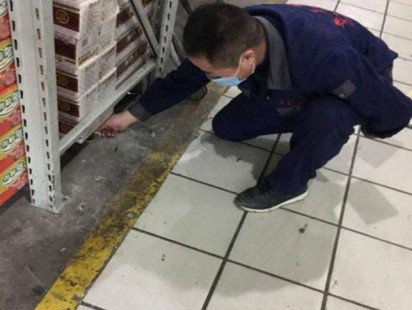 案例展示
