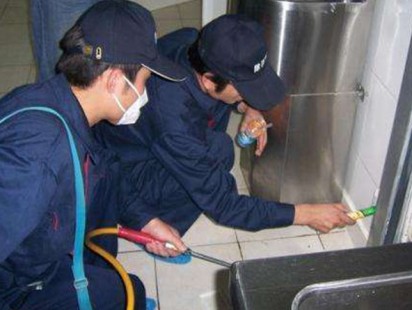 案例展示