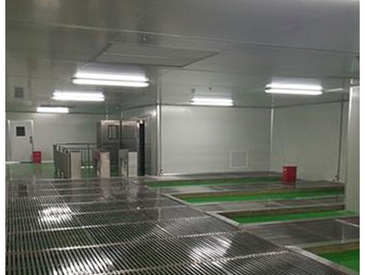案例展示