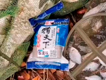白鲨鱼饵