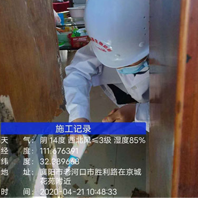 正顺工程技术-白蚁防治服务