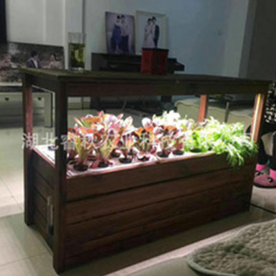 睿秋农业科技-植物生长灯