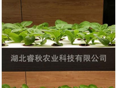 睿秋农业科技-育苗水盘