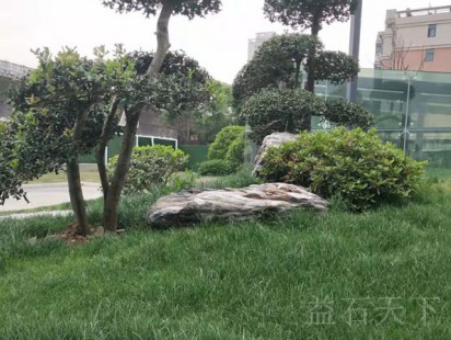 案例展示