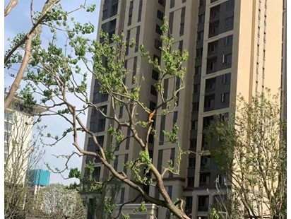 案例展示