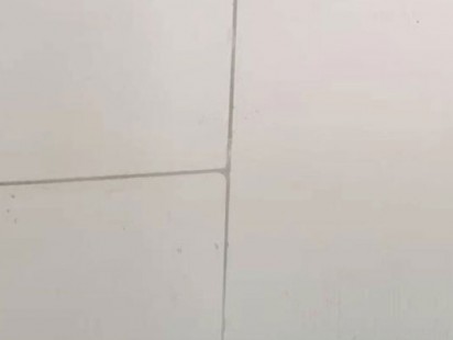 案例展示