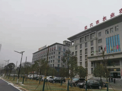 工程案例
