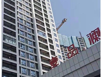 葛店中建澜悦项目